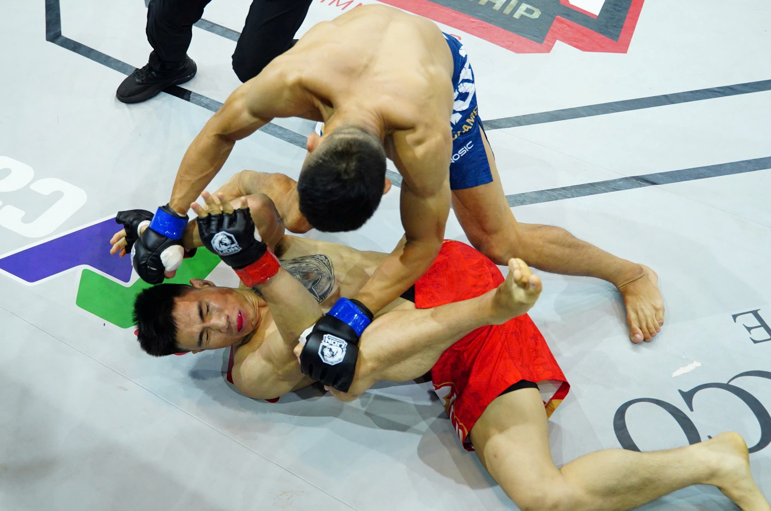 lê văn tuần - Ảnh 2.