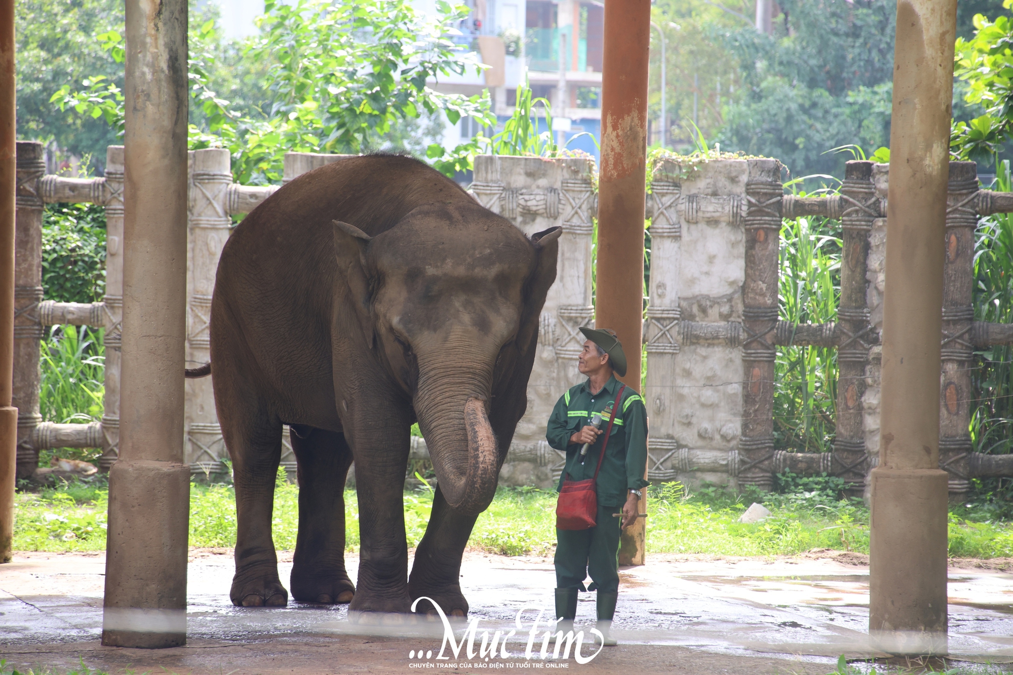 Một ngày đi nghe "nhân viên vườn thú kể chuyện” tại Thảo cầm viên- Ảnh 3.