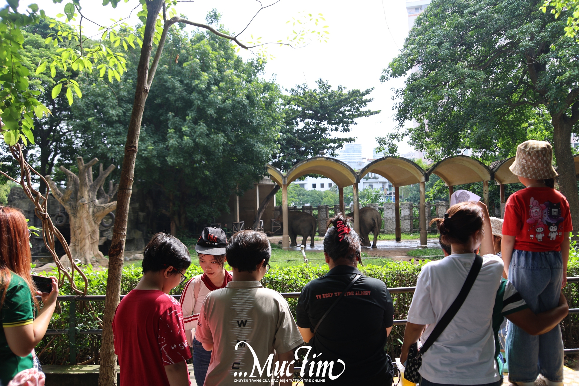 Một ngày đi nghe "nhân viên vườn thú kể chuyện” tại Thảo cầm viên- Ảnh 4.