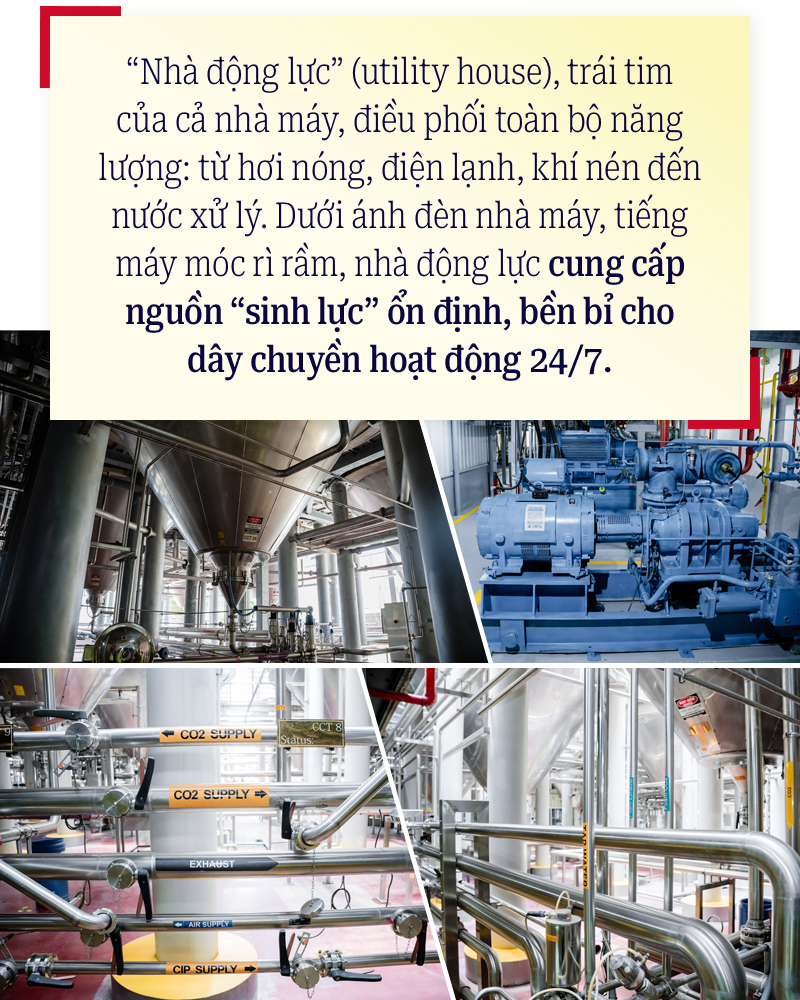 AB INBEV Việt Nam: Hành trình 10 năm từng bước vượt bậc - Ảnh 6.