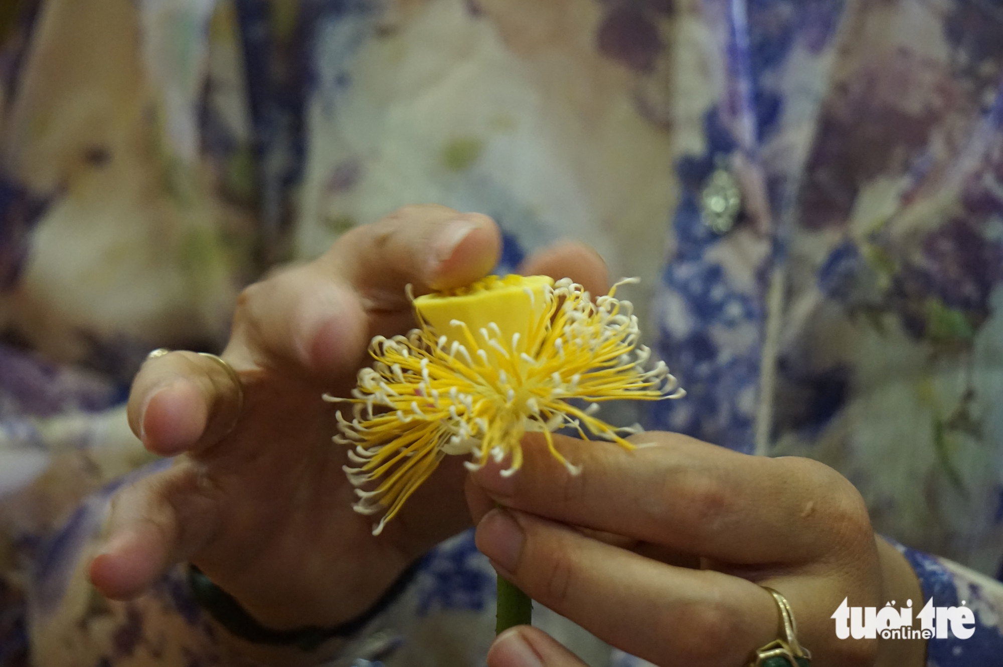 In Hanoi’s lotus-scented tradition, purity is secret to perfect tea- Ảnh 7.