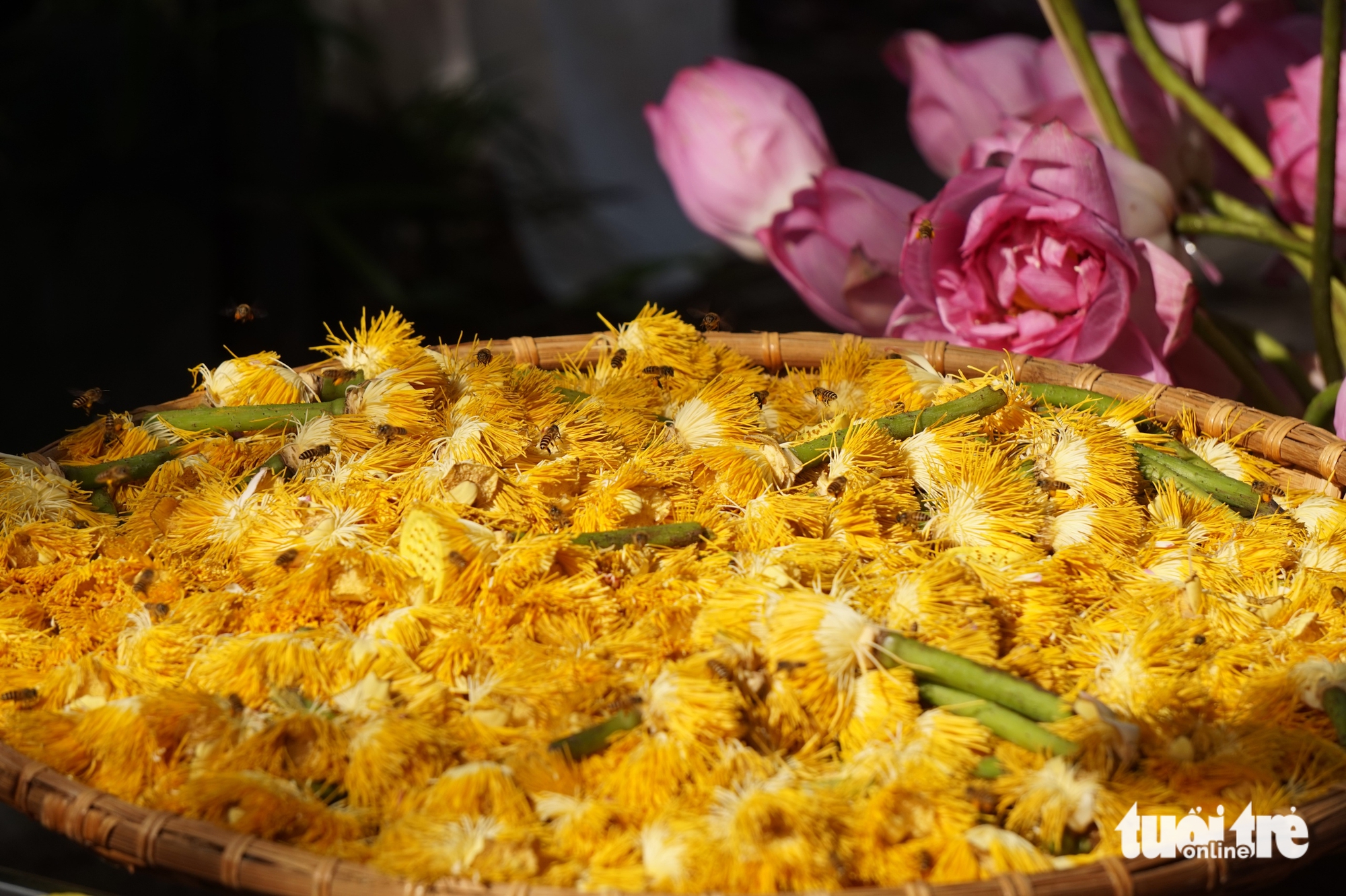 In Hanoi’s lotus-scented tradition, purity is secret to perfect tea- Ảnh 10.