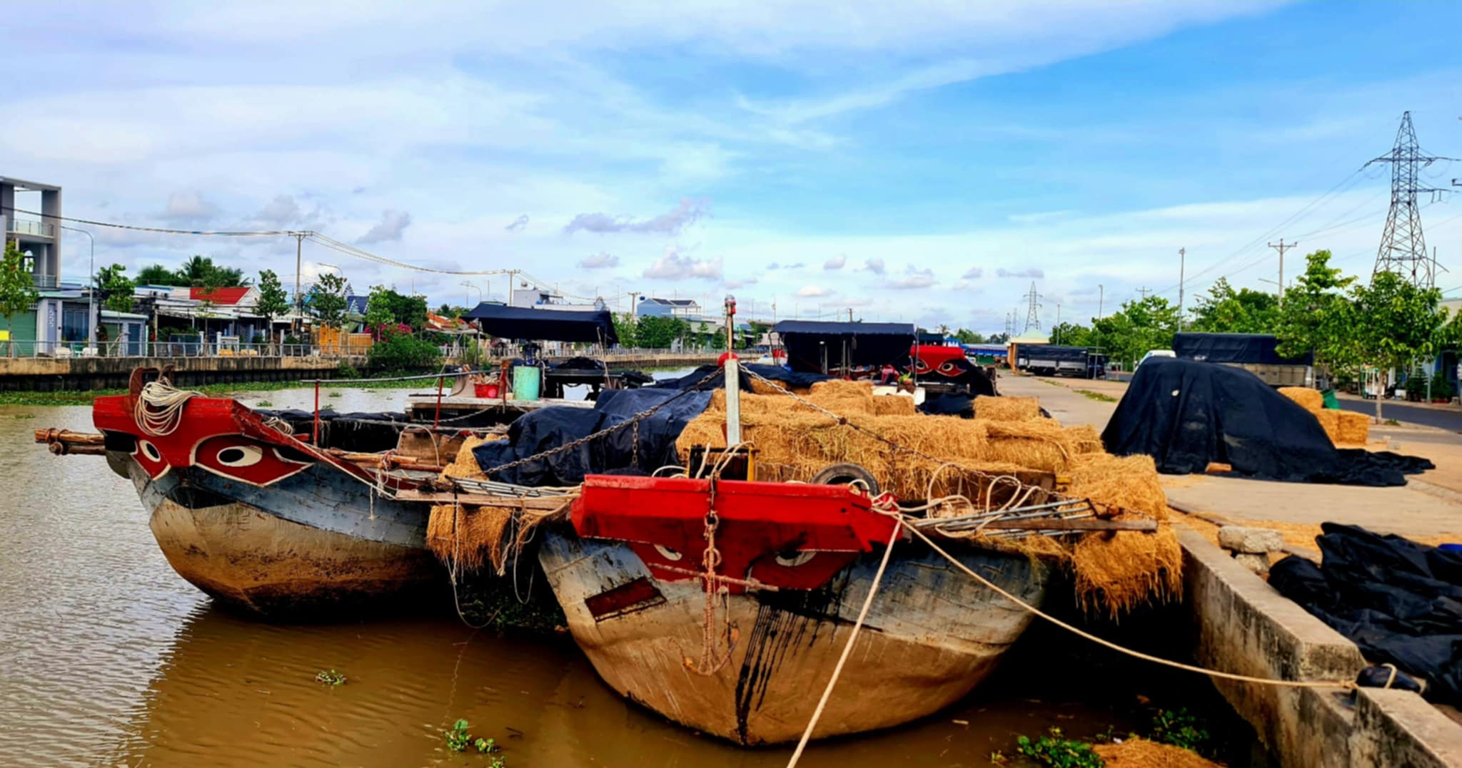 Thương hồ theo những mùa rơm - Ảnh 10. thương hồ - Ảnh 7.