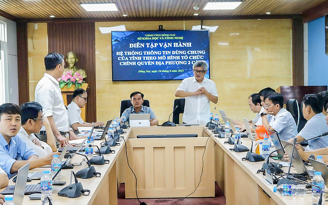 Đồng Nai diễn tập vận hành chính quyền điện tử - Ảnh 1. Đồng Nai - Ảnh 1.