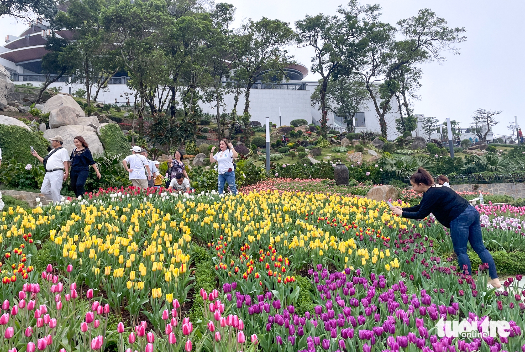 Tây Ninh - Ảnh 1.
