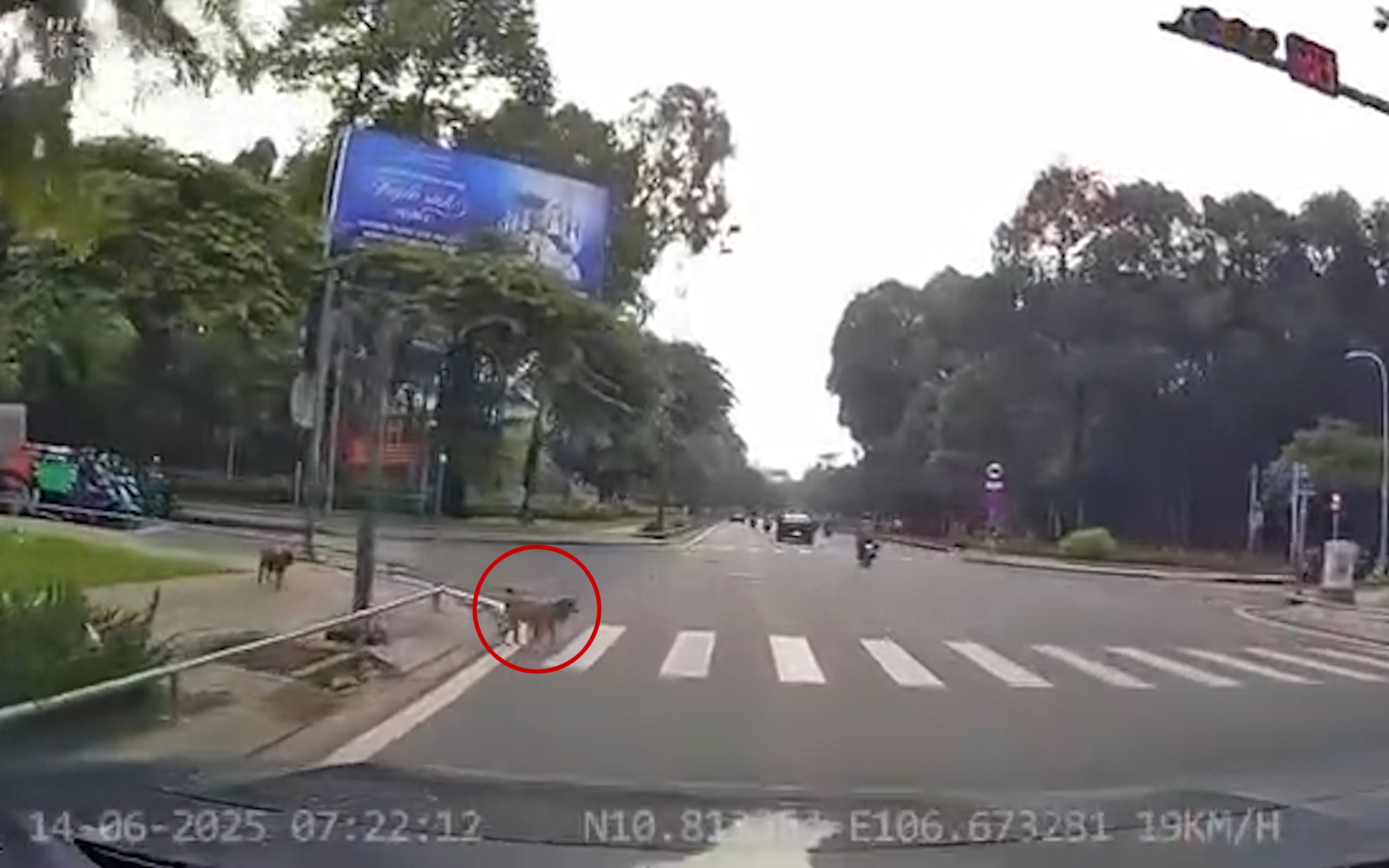 Tài xế gây sốt chỉ vì… nghiêm chỉnh chấp hành thực hiện một điều mà nhiều người Việt lười làm - Ảnh 1.