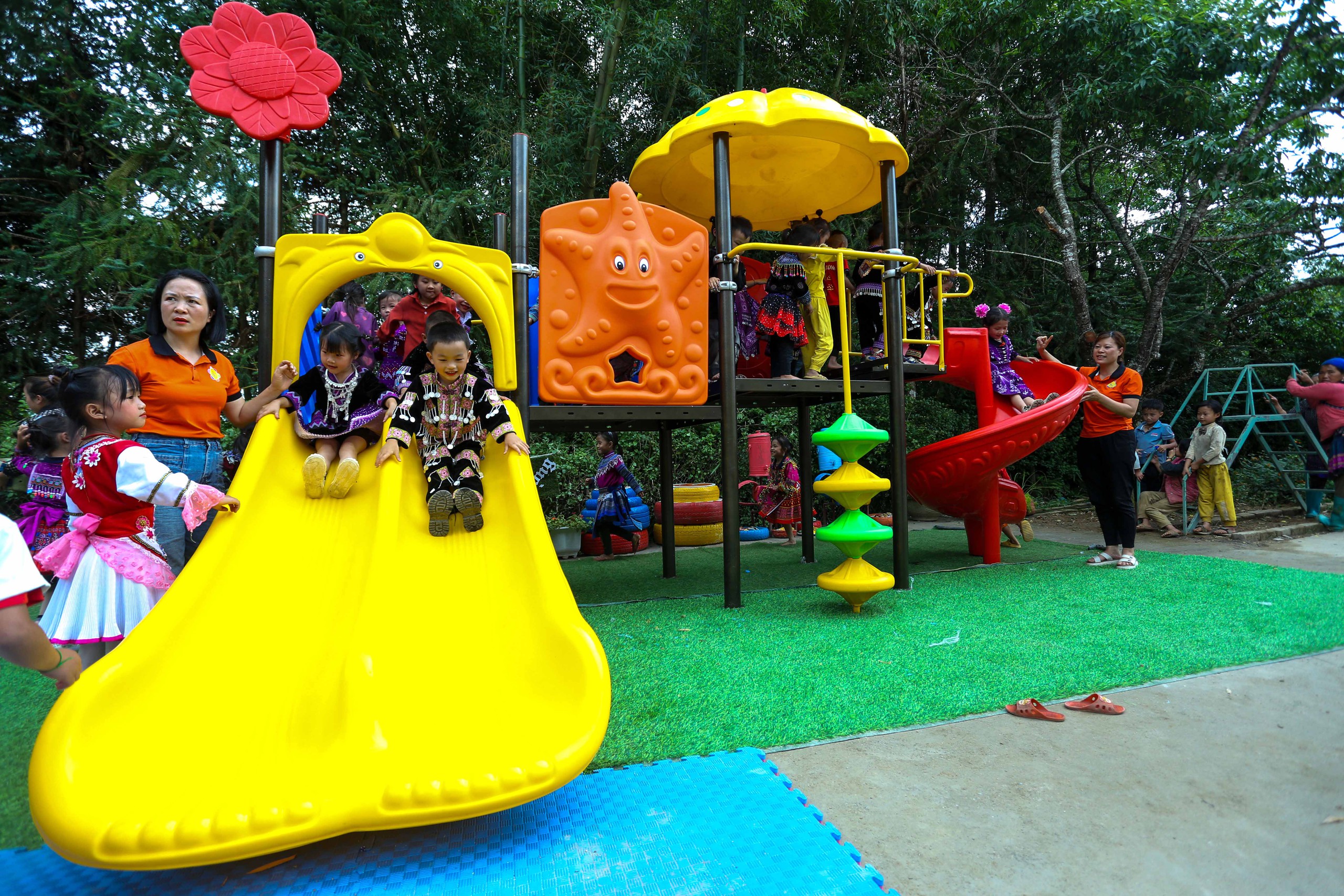 mầm non - Ảnh 10.