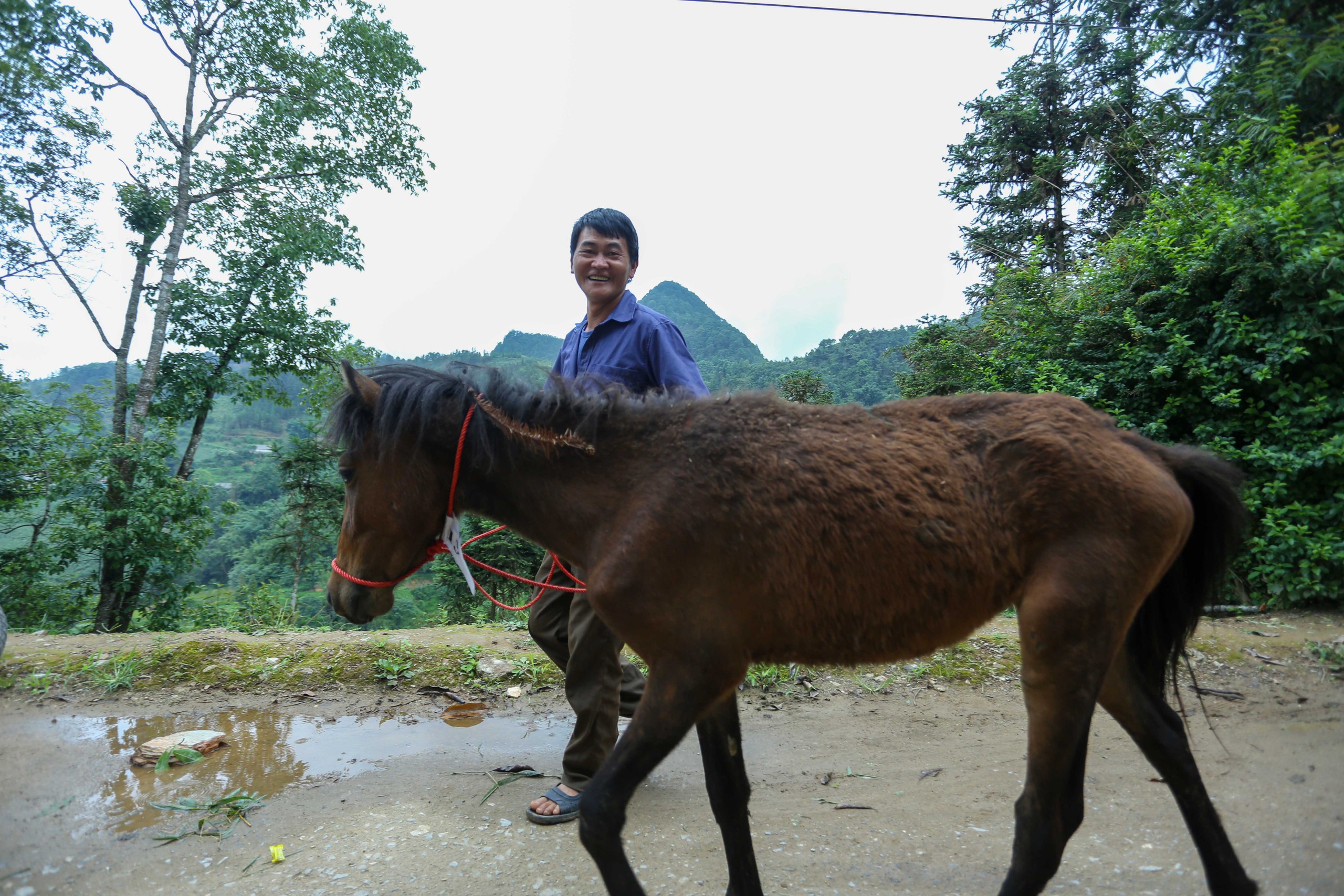 mầm non - Ảnh 16.