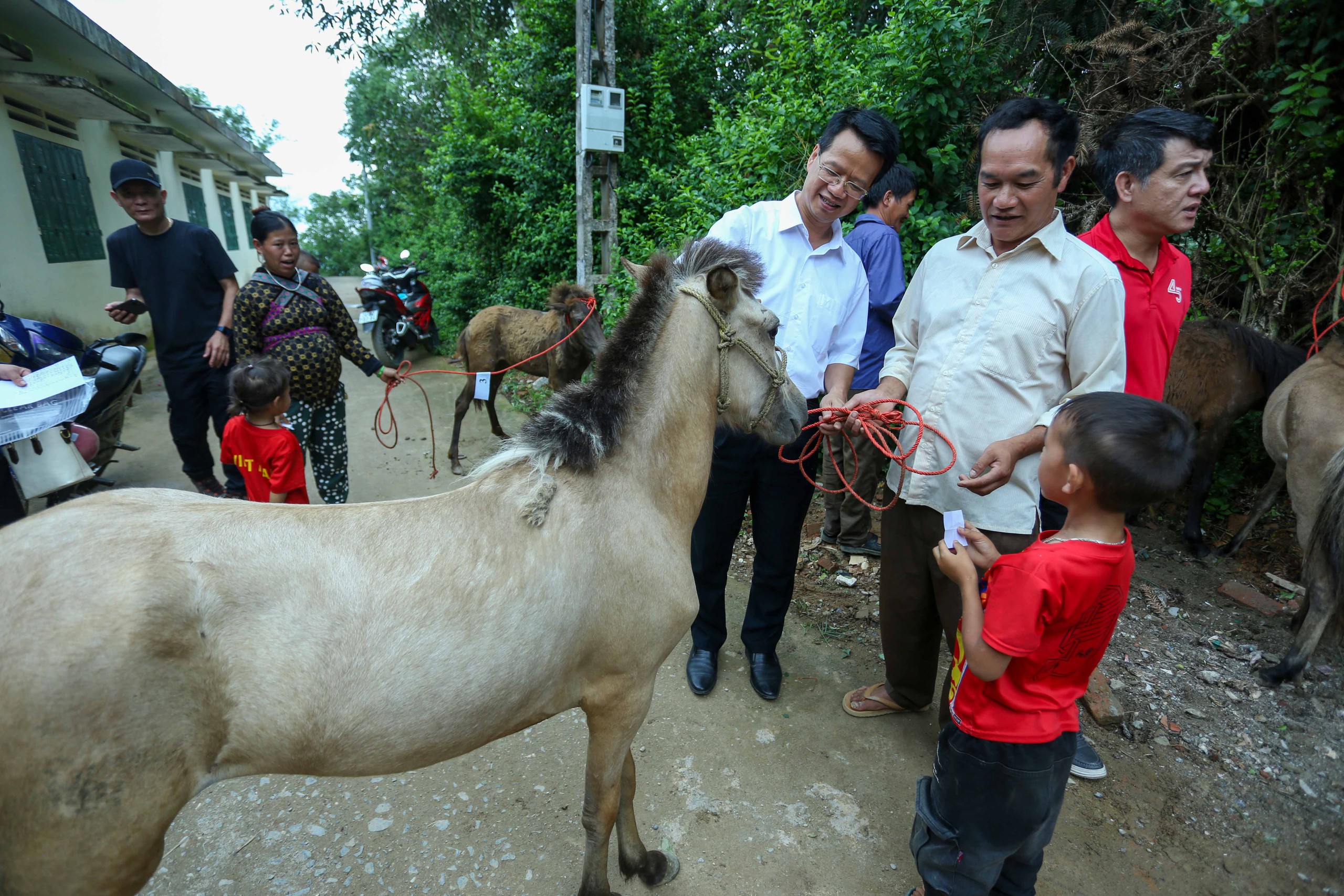 mầm non - Ảnh 14.