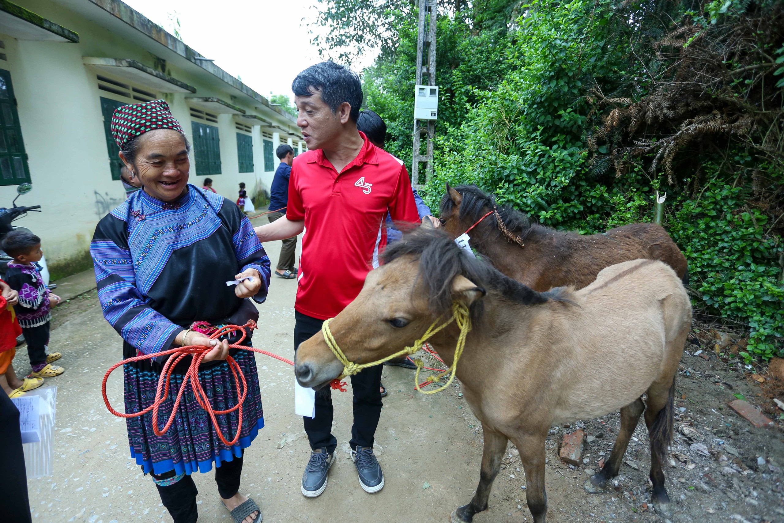 mầm non - Ảnh 15.