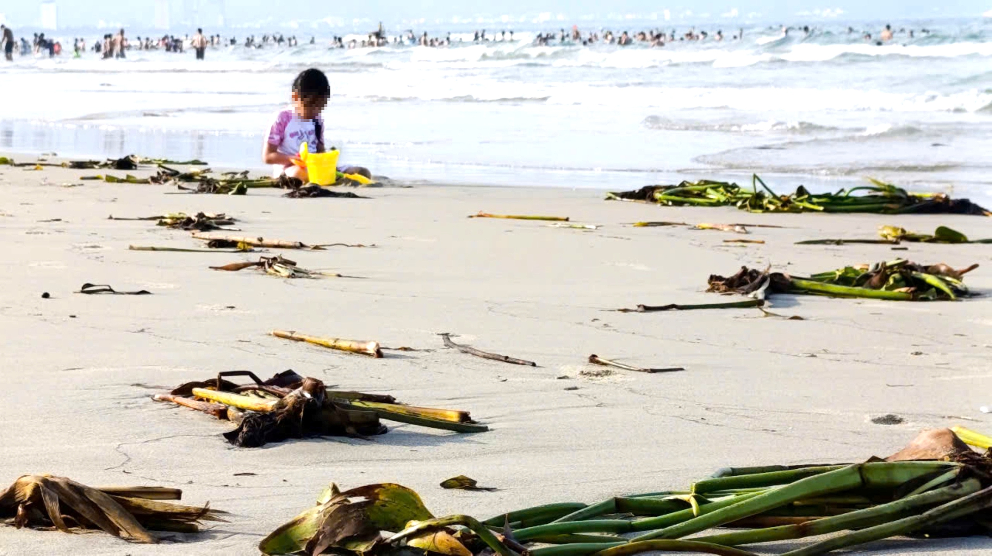 bãi biển - Ảnh 3.