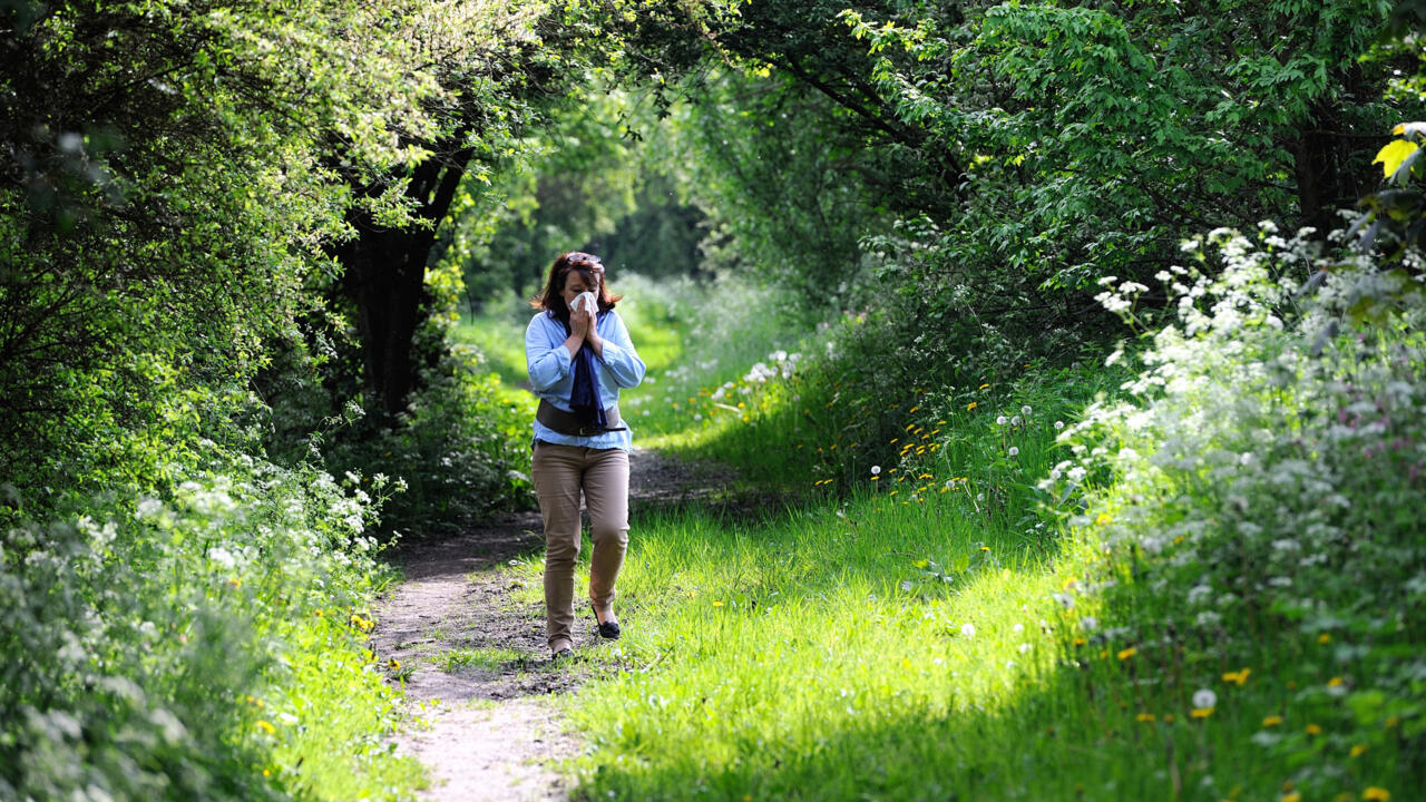 Longer exposure, more pollen: climate change worsens allergies- Ảnh 1. Longer exposure, more pollen: climate change worsens allergies- Ảnh 1.