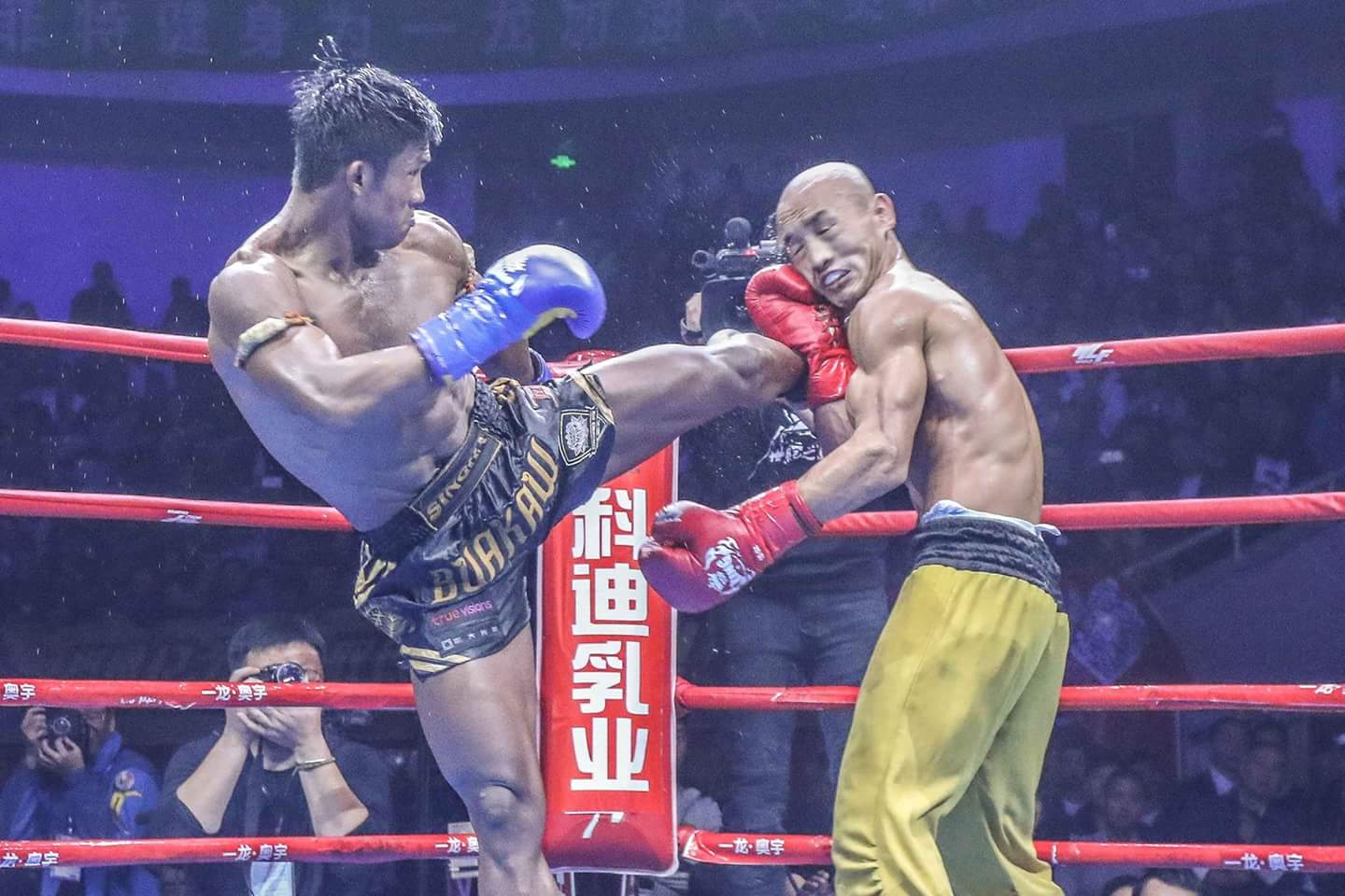kung fu - Ảnh 2.