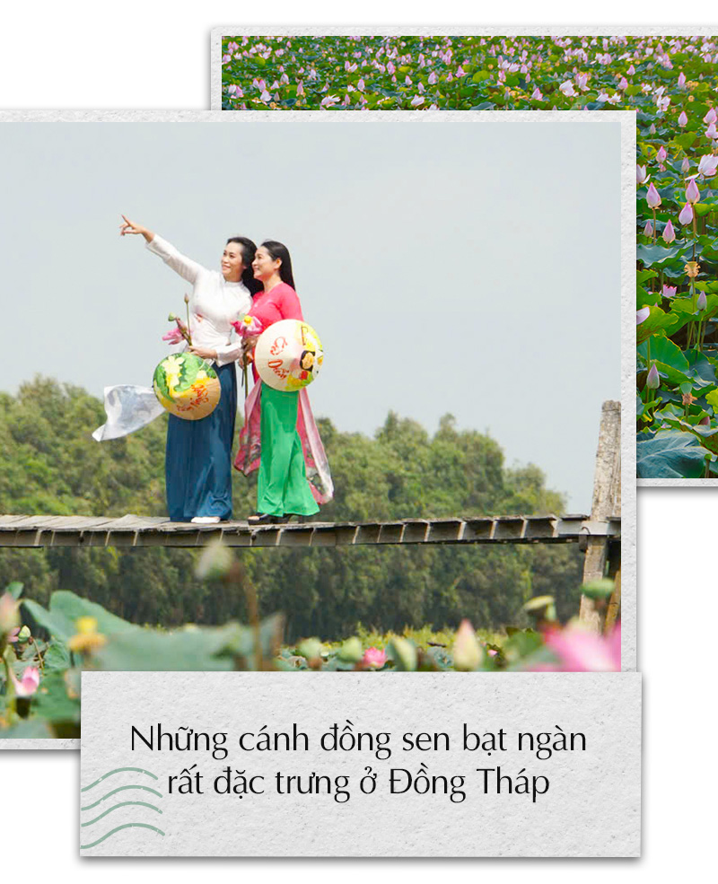 Sen hồng - Ảnh 2.