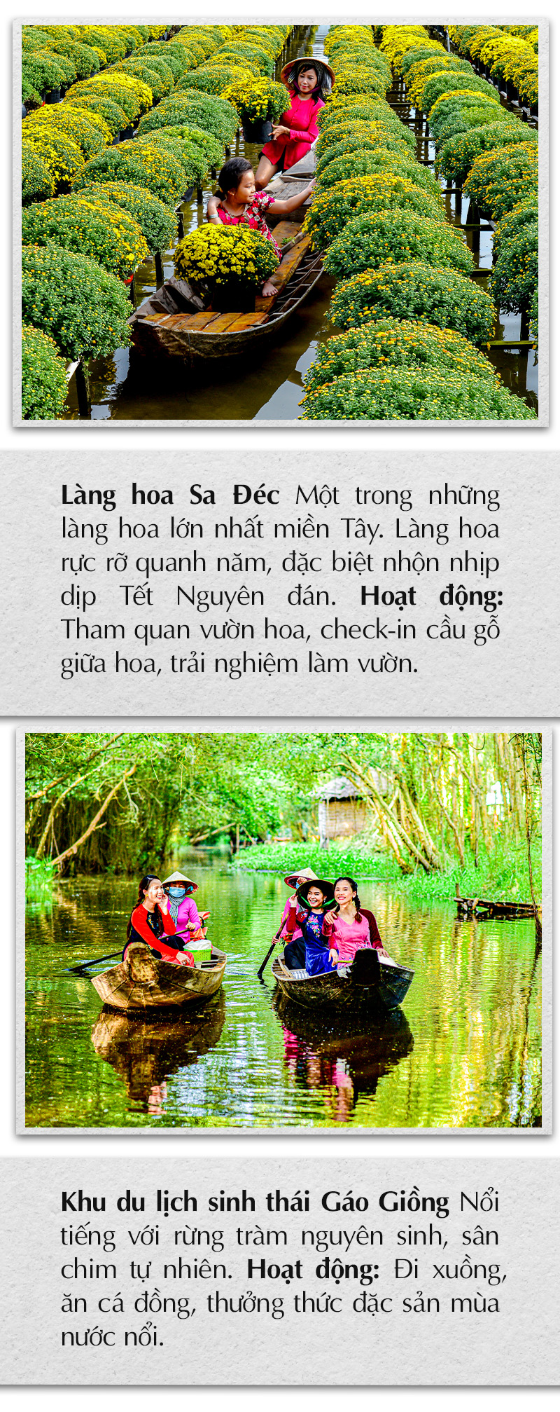 Sen hồng - Ảnh 6.