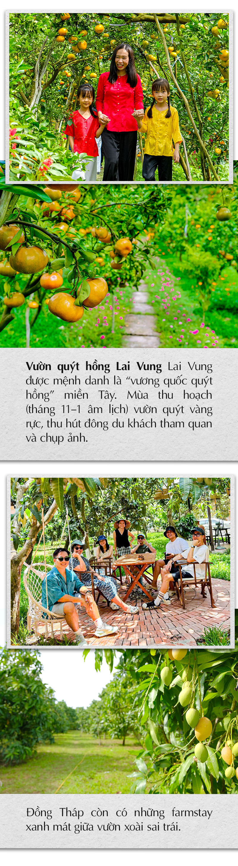 Sen hồng - Ảnh 8.