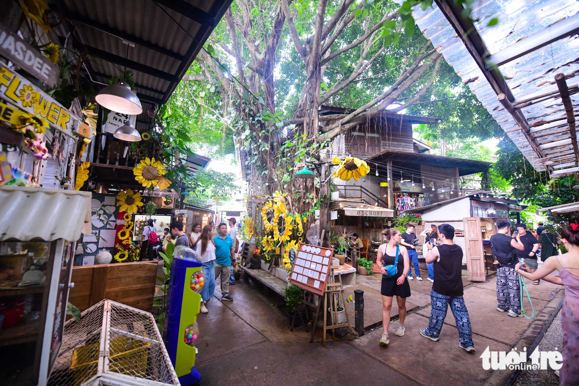 Khám phá Chiang Mai, trải nghiệm thiên đường du lịch miền bắc Thái Lan - Ảnh 4.