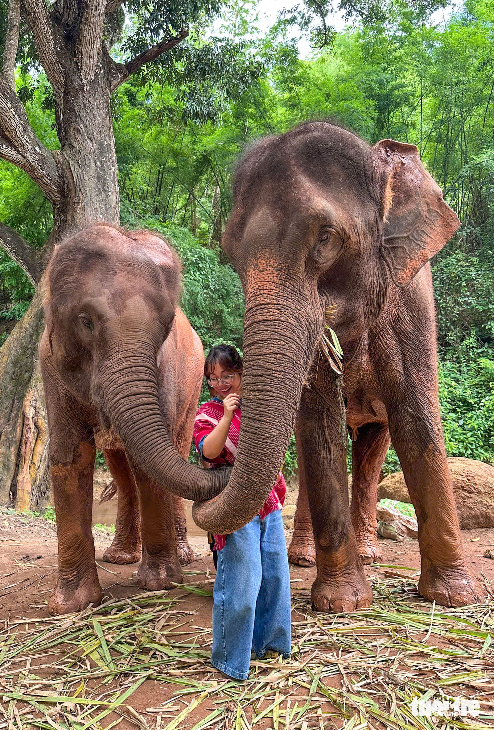 Chiang Mai - Ảnh 18.