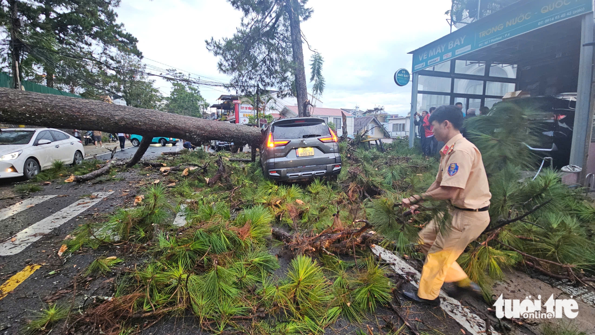 đà lạt - Ảnh 1.