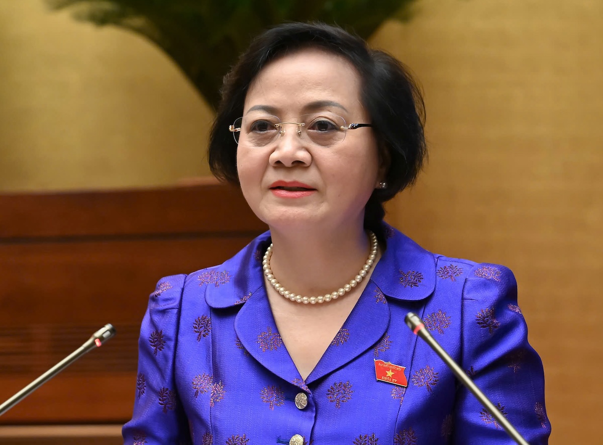 phó chủ tịch - Ảnh 1.