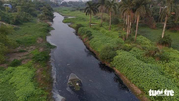 ô nhiễm - Ảnh 1.
