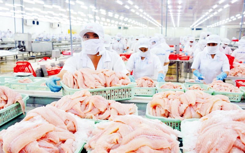 Cá tra Việt Nam nhận tin vui lớn từ Mỹ - Ảnh 1.