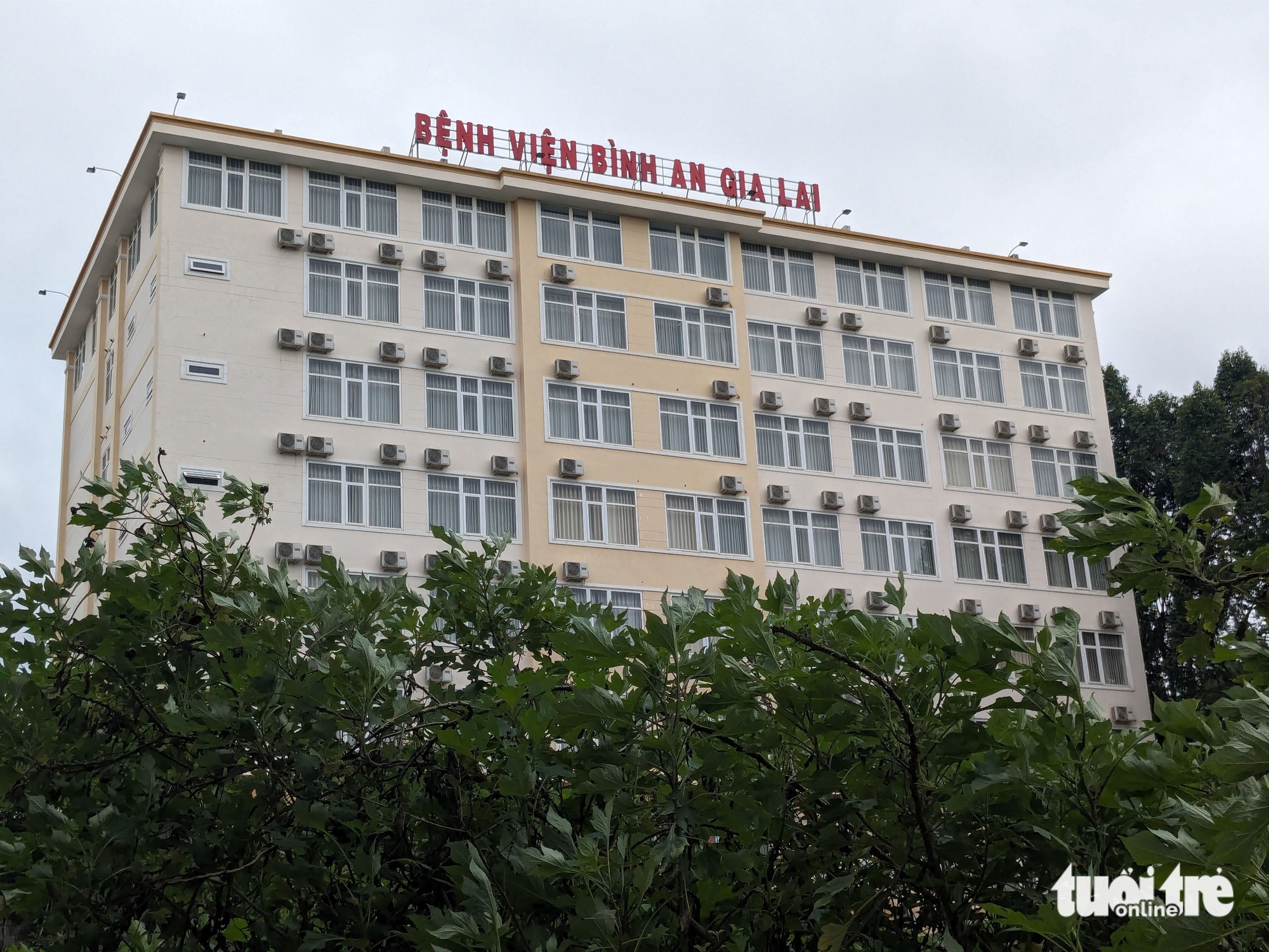 Gia Lai - Ảnh 1.