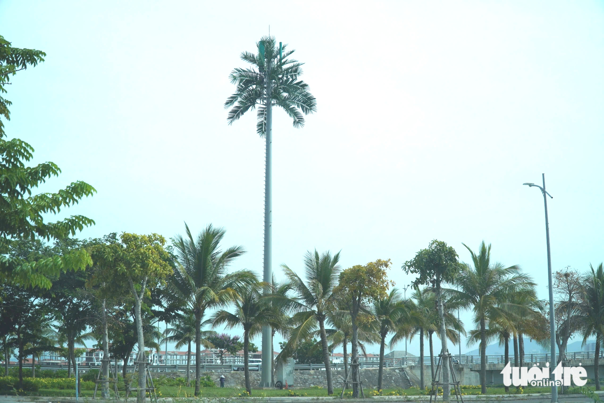 trạm BTS - Ảnh 1.