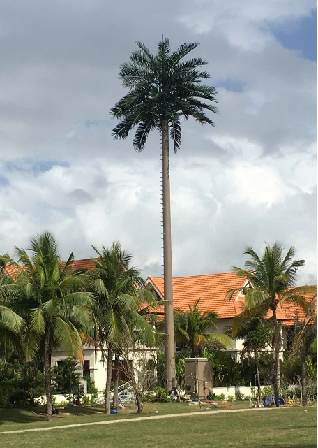 trạm BTS - Ảnh 2.