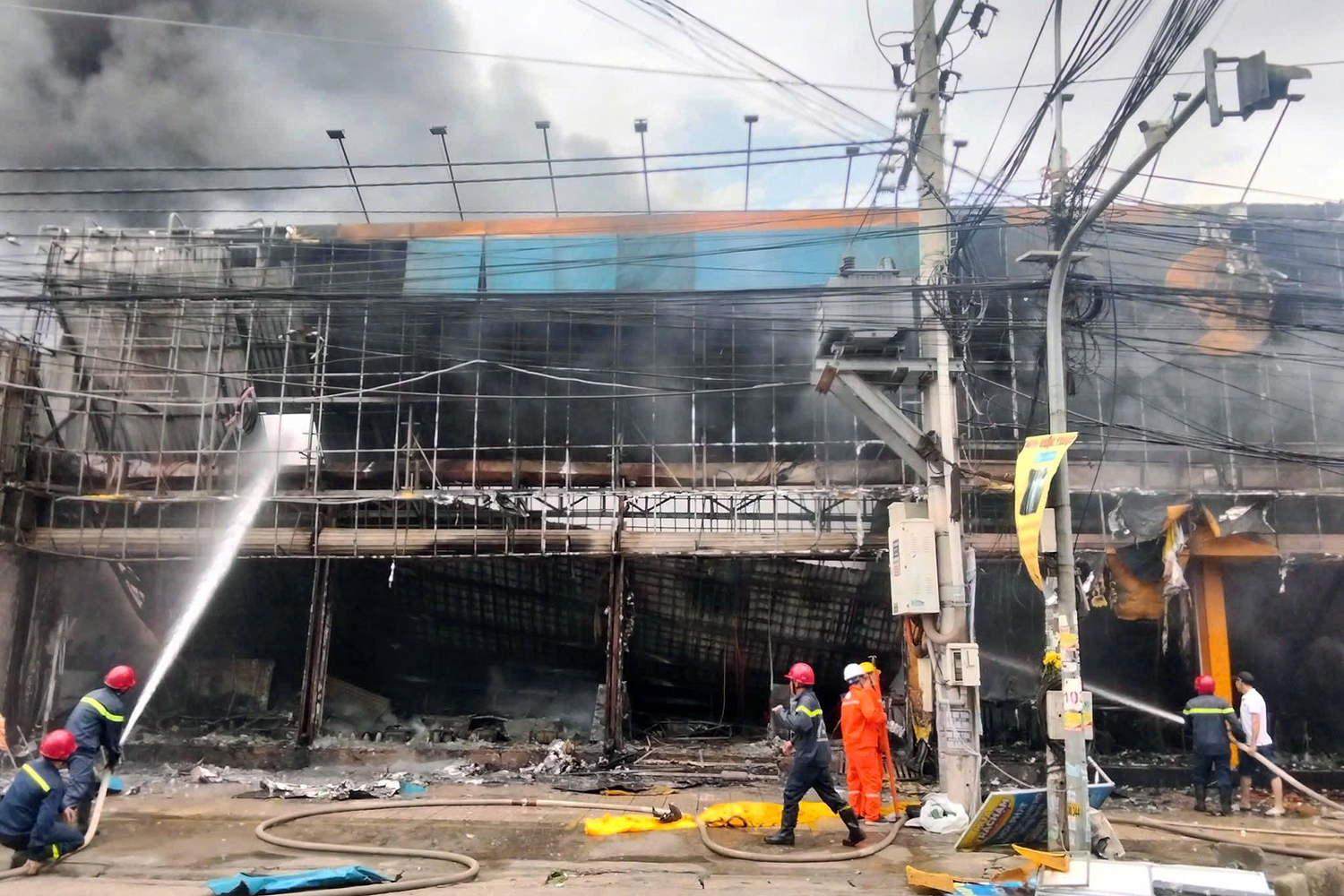 Điện Máy Xanh - Ảnh 1.