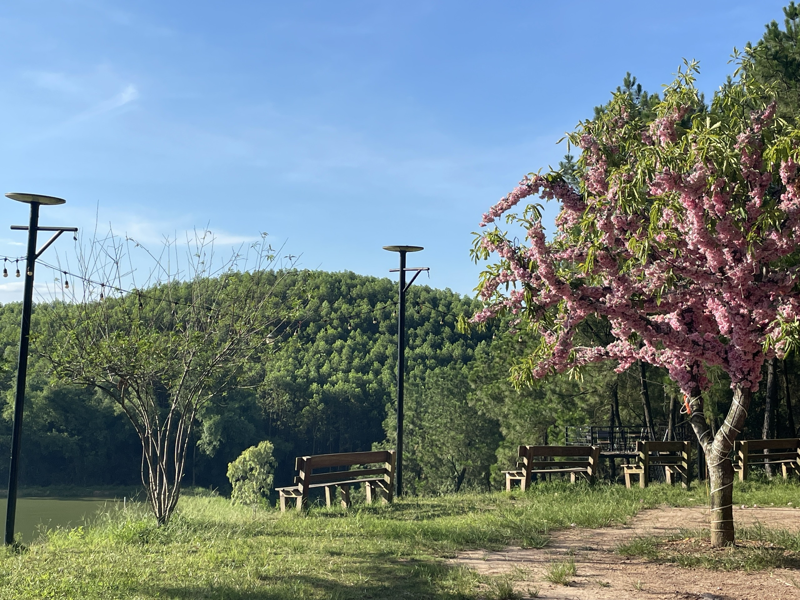 Gợi ý địa điểm du lịch Quảng Bình mùa hè này - Ảnh 8.