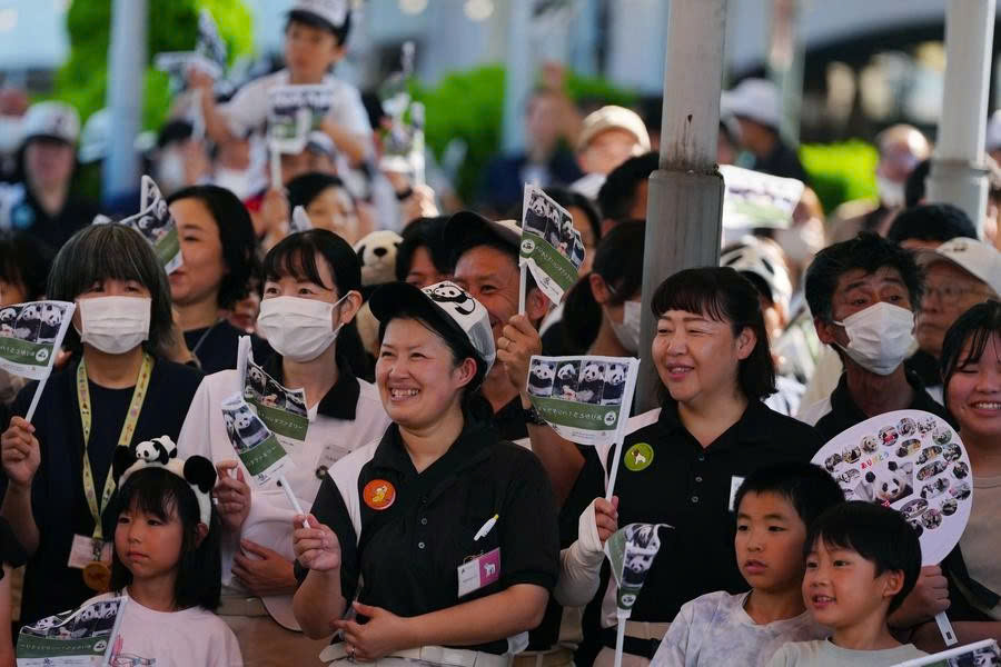 Mii de japonezi au fost emoționați să-și ducă înapoi patru panda uriași în China - Fotografia 2. gấu trúc - Ảnh 2.