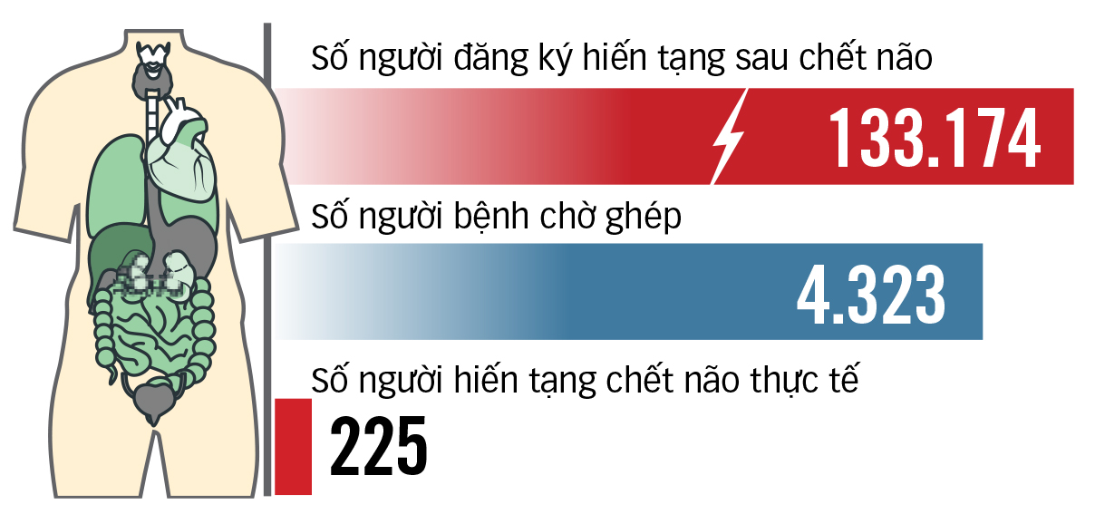 Sửa luật để nhiều người được hồi sinh - Ảnh 2. ghép tạng - Ảnh 2.