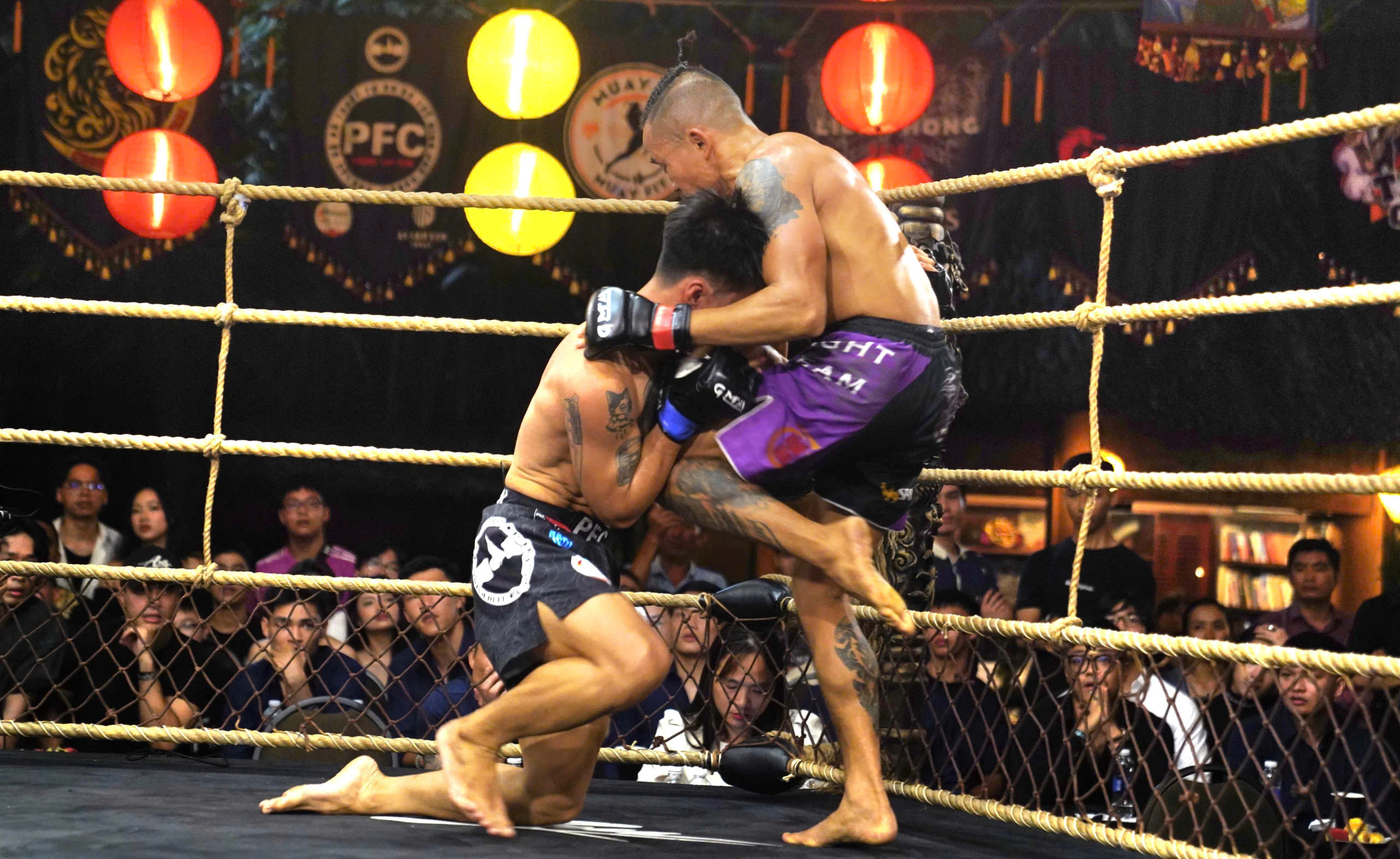 johnny trí nguyễn - Ảnh 2.