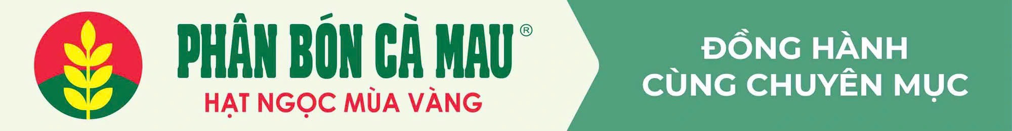 PVCFC - Ảnh 7.