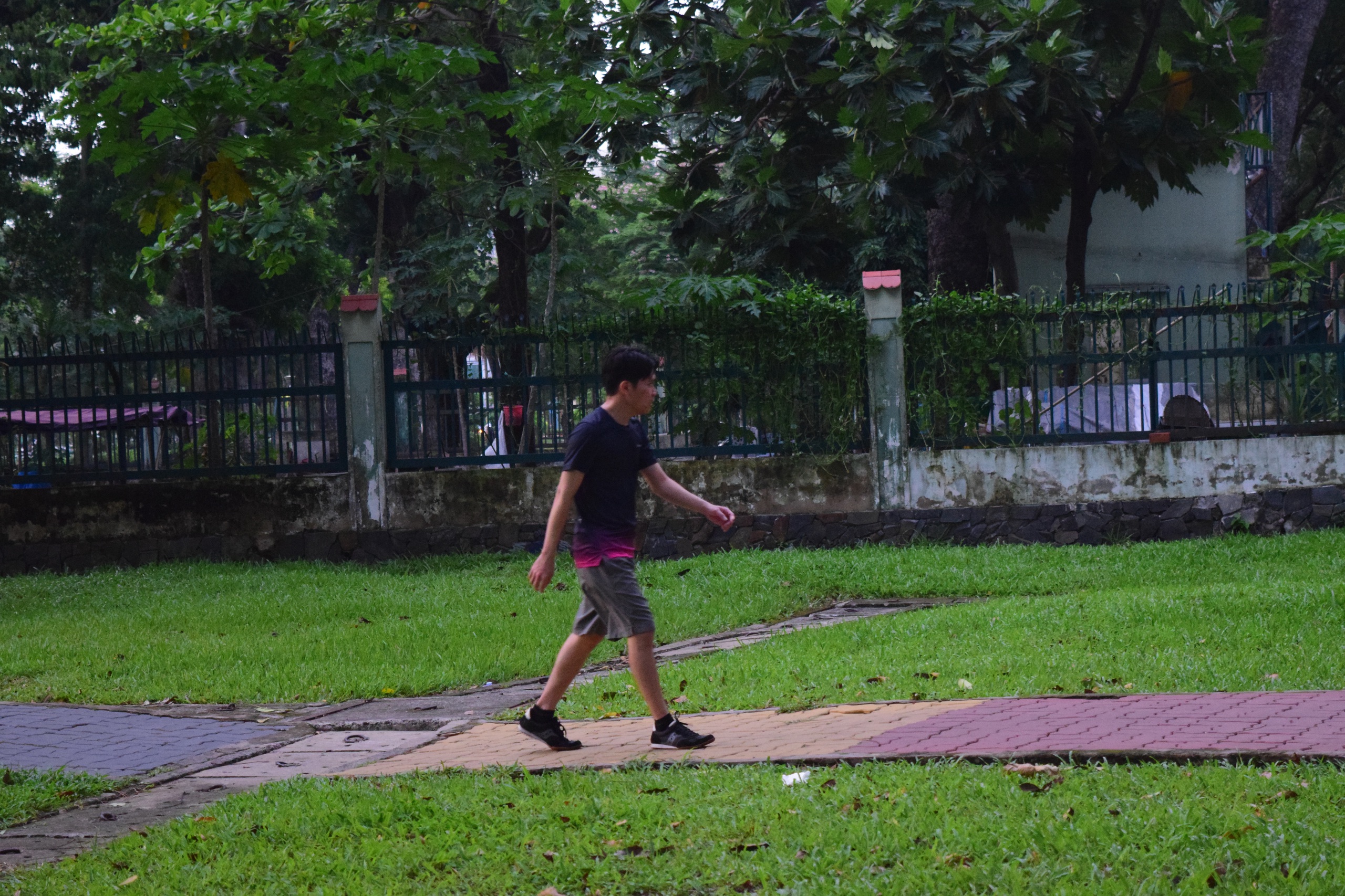 Giới trẻ TP.HCM thích thú thể dục công viên - Ảnh 5.