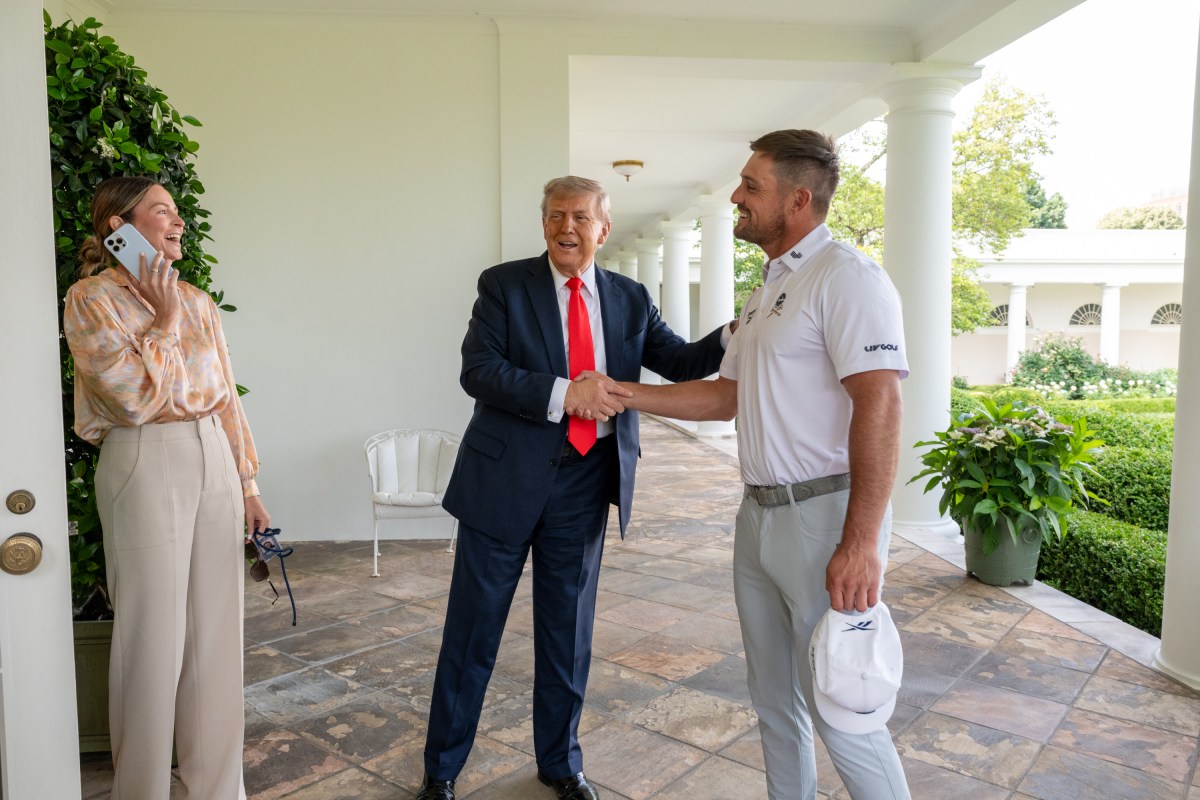 Ông Trump sẽ biến bãi cỏ trong Nhà Trắng thành sân golf mini? - Ảnh 1.