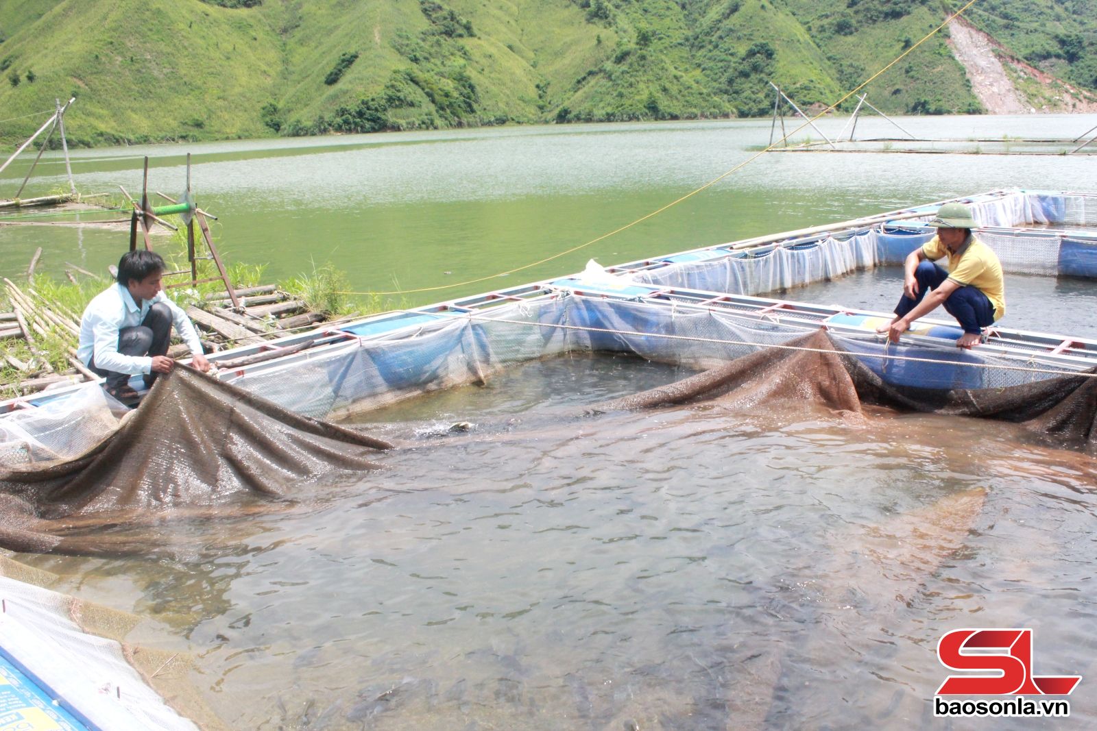 nông nghiệp - Ảnh 5.