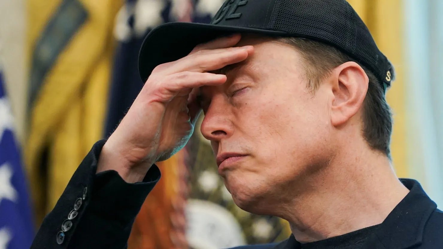 Musk - Ảnh 1.