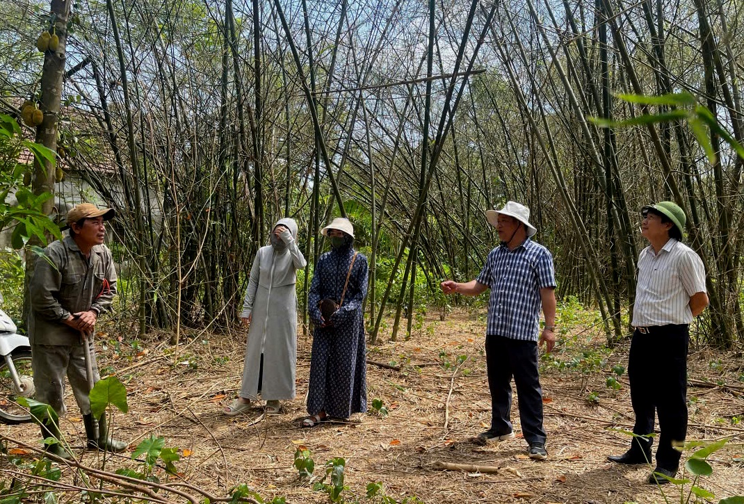 châu chấu - Ảnh 2.
