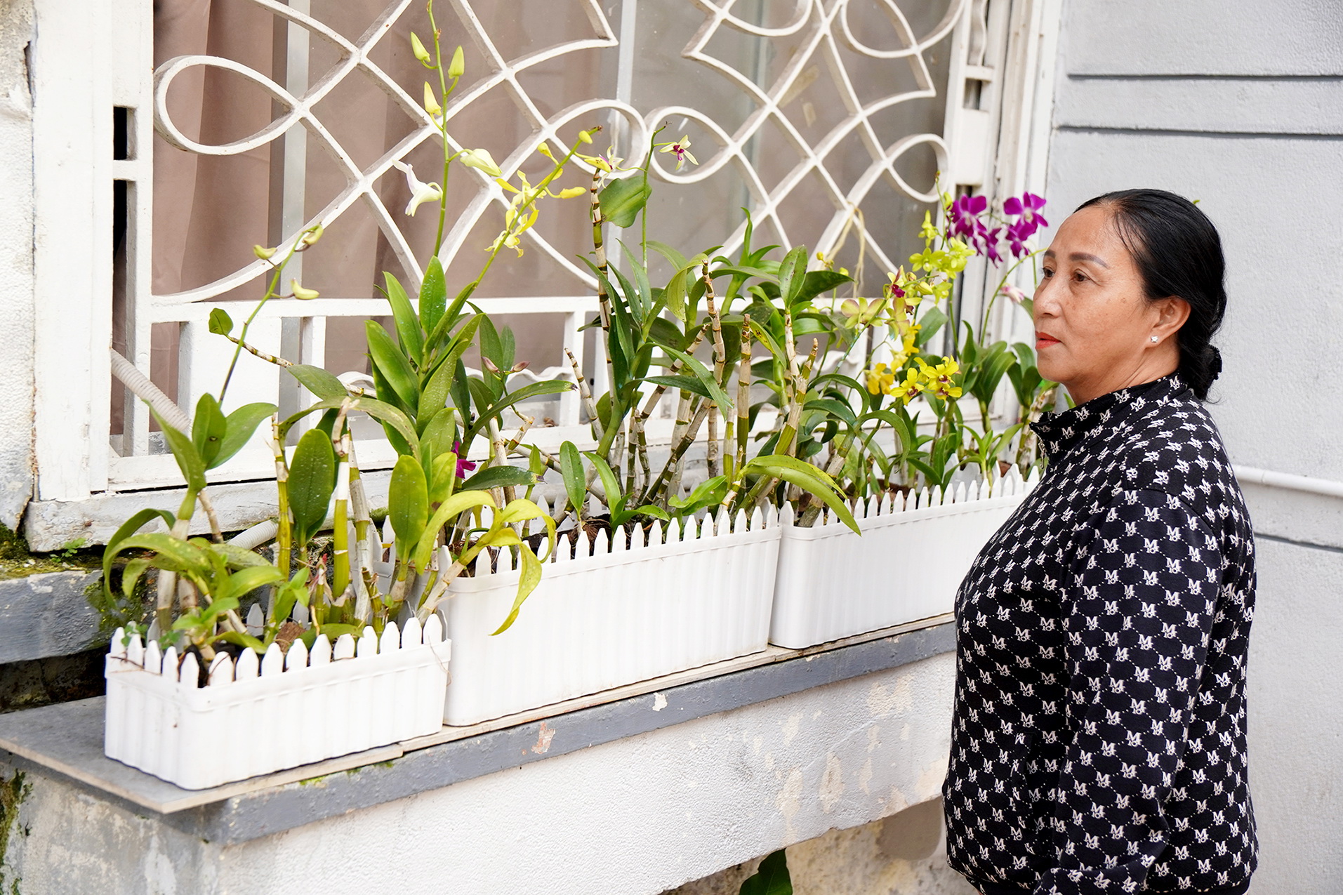 kênh Đôi - Ảnh 2.