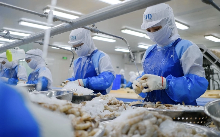 US sets final anti-dumping duties on Vietnamese shrimp exporters- Ảnh 2. US sets final anti-dumping duties on Vietnamese shrimp exporters- Ảnh 2.