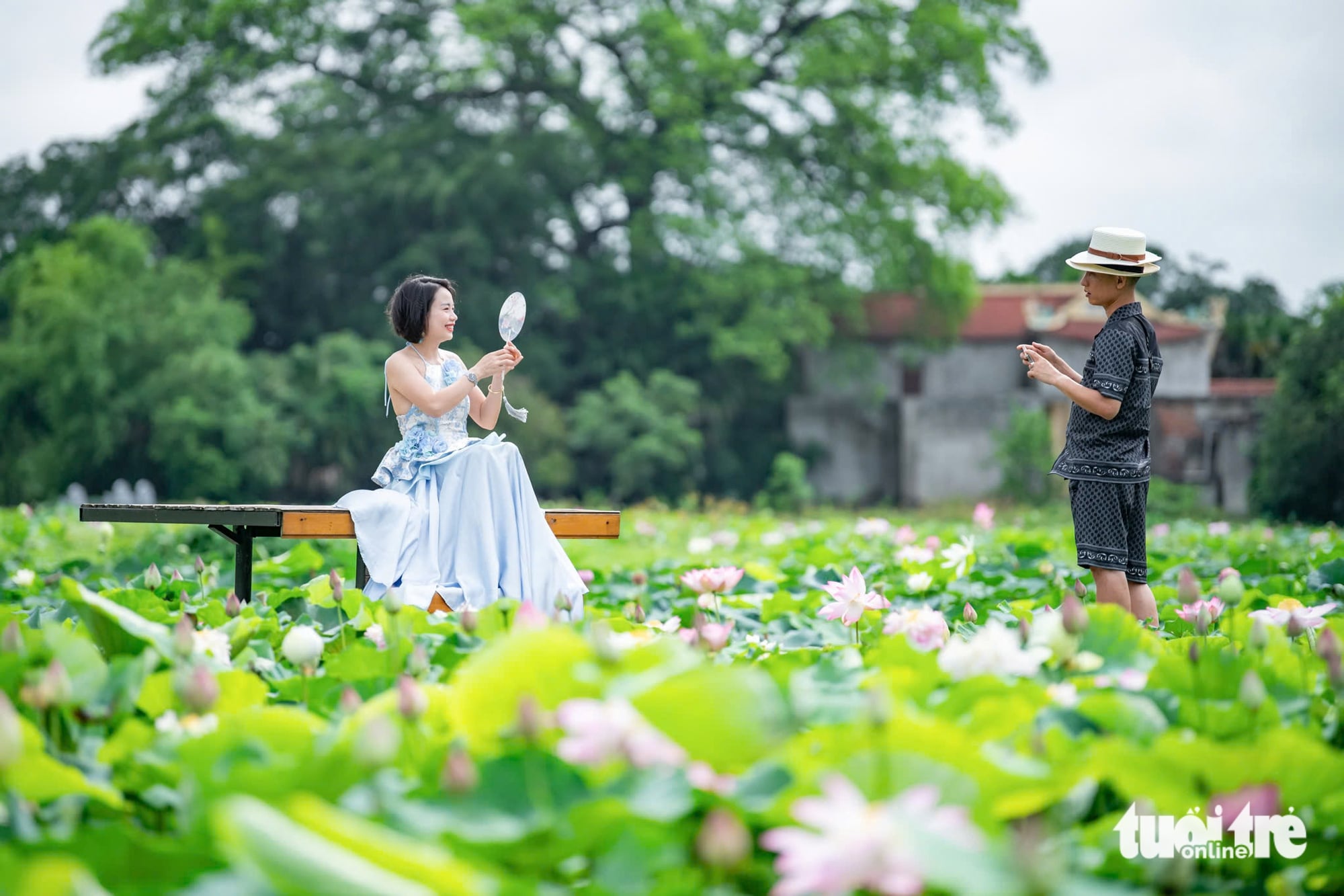 Be sure to take in Ninh Binh’s finest lotus pond in bloom while at Mua Cave- Ảnh 4. Be sure to take in Ninh Binh’s finest lotus pond in bloom while at Mua Cave- Ảnh 4.