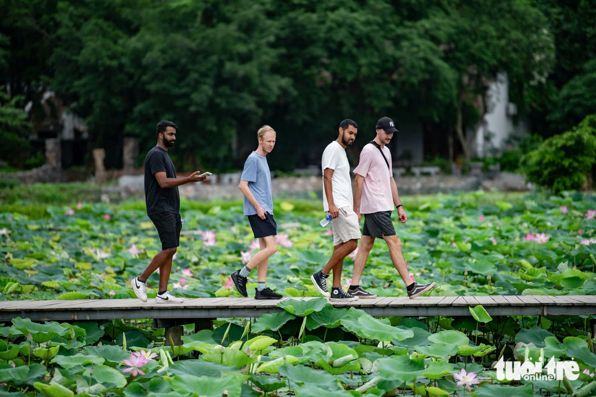 Be sure to take in Ninh Binh’s finest lotus pond in bloom while at Mua Cave- Ảnh 2. Be sure to take in Ninh Binh’s finest lotus pond in bloom while at Mua Cave- Ảnh 2.