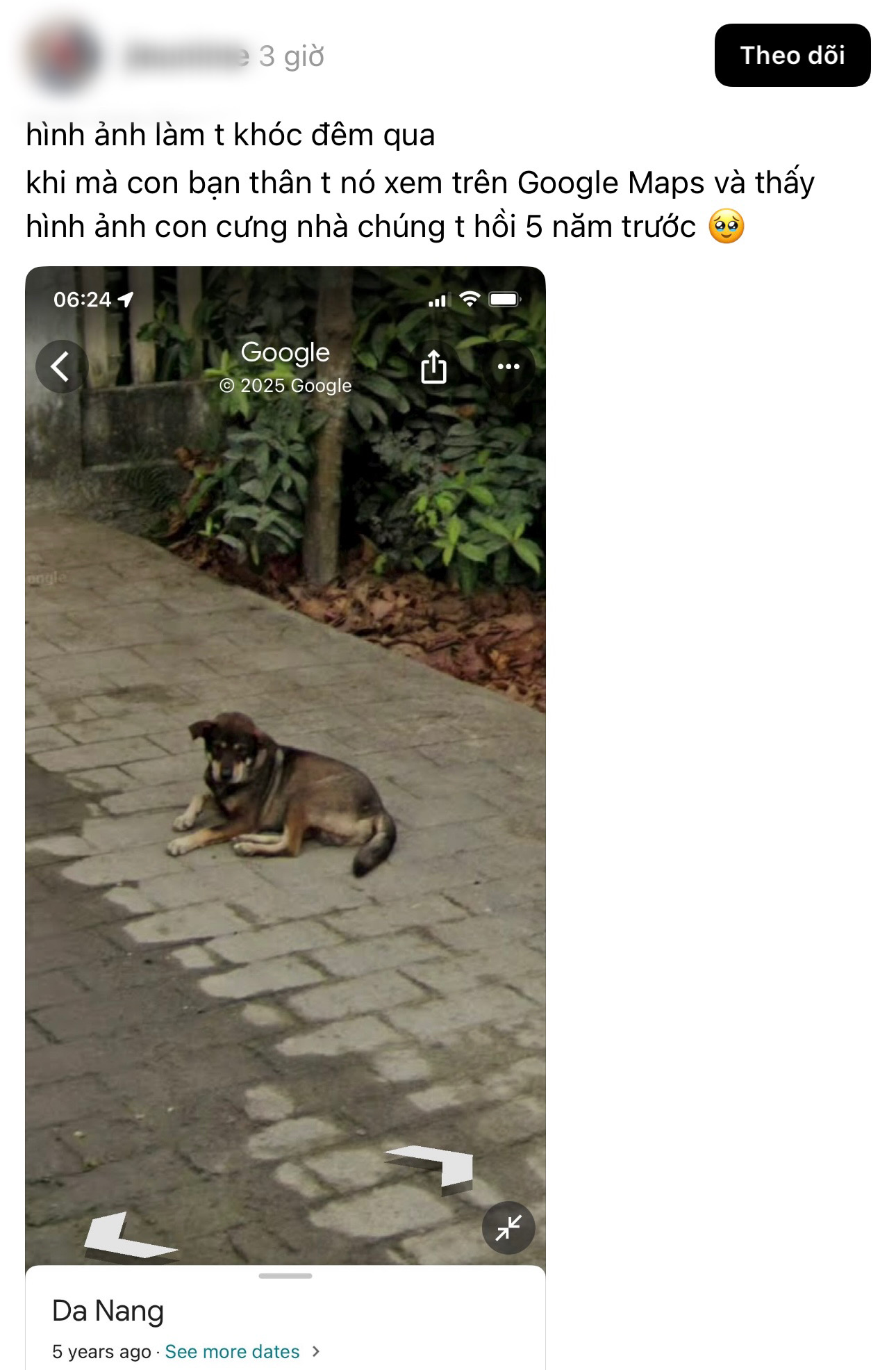 ‘Gặp lại’ người thân đã khuất qua Google Maps, cư dân mạng lặng người vì một khung hình cũ - Ảnh 4.