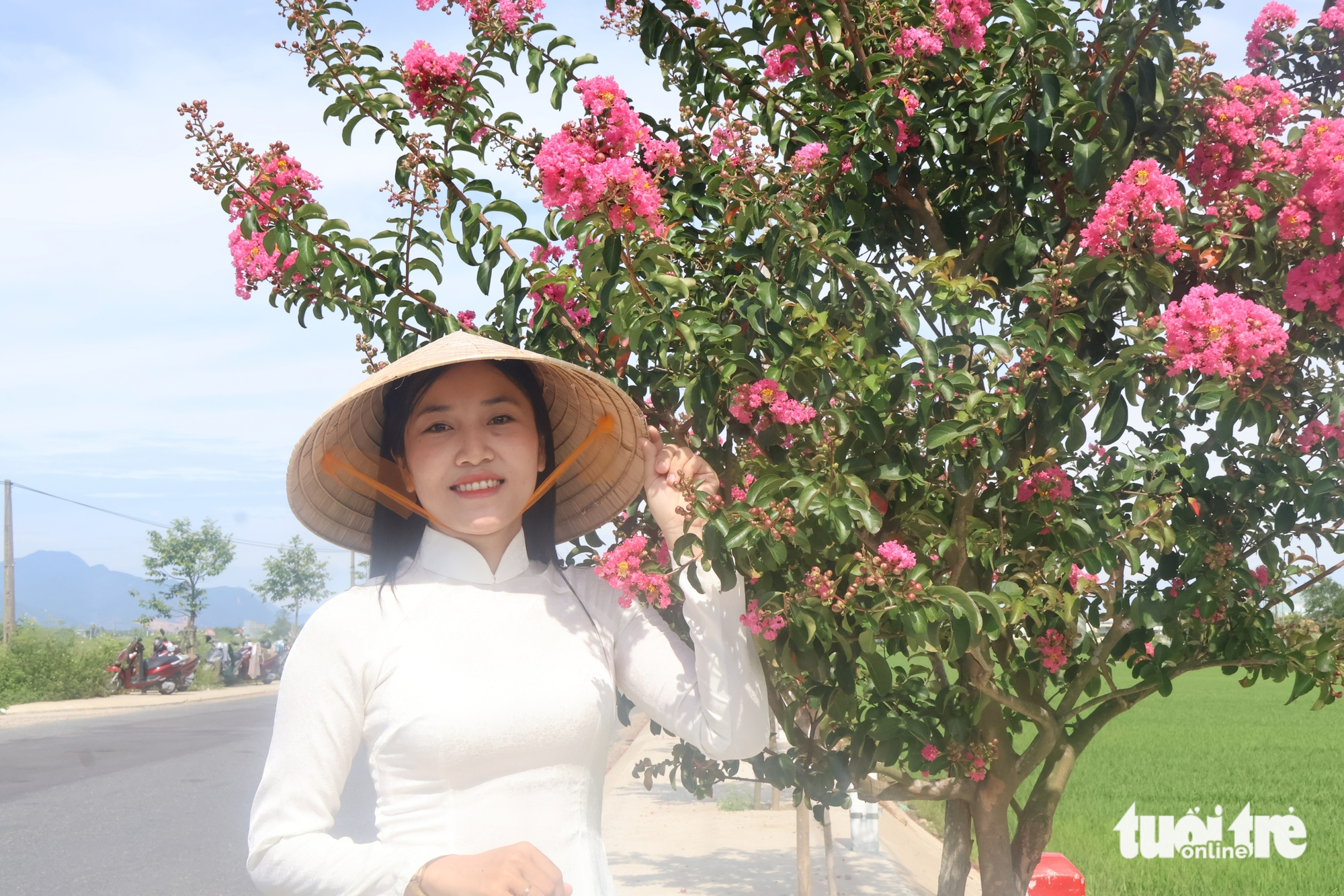 tường vi - Ảnh 3.