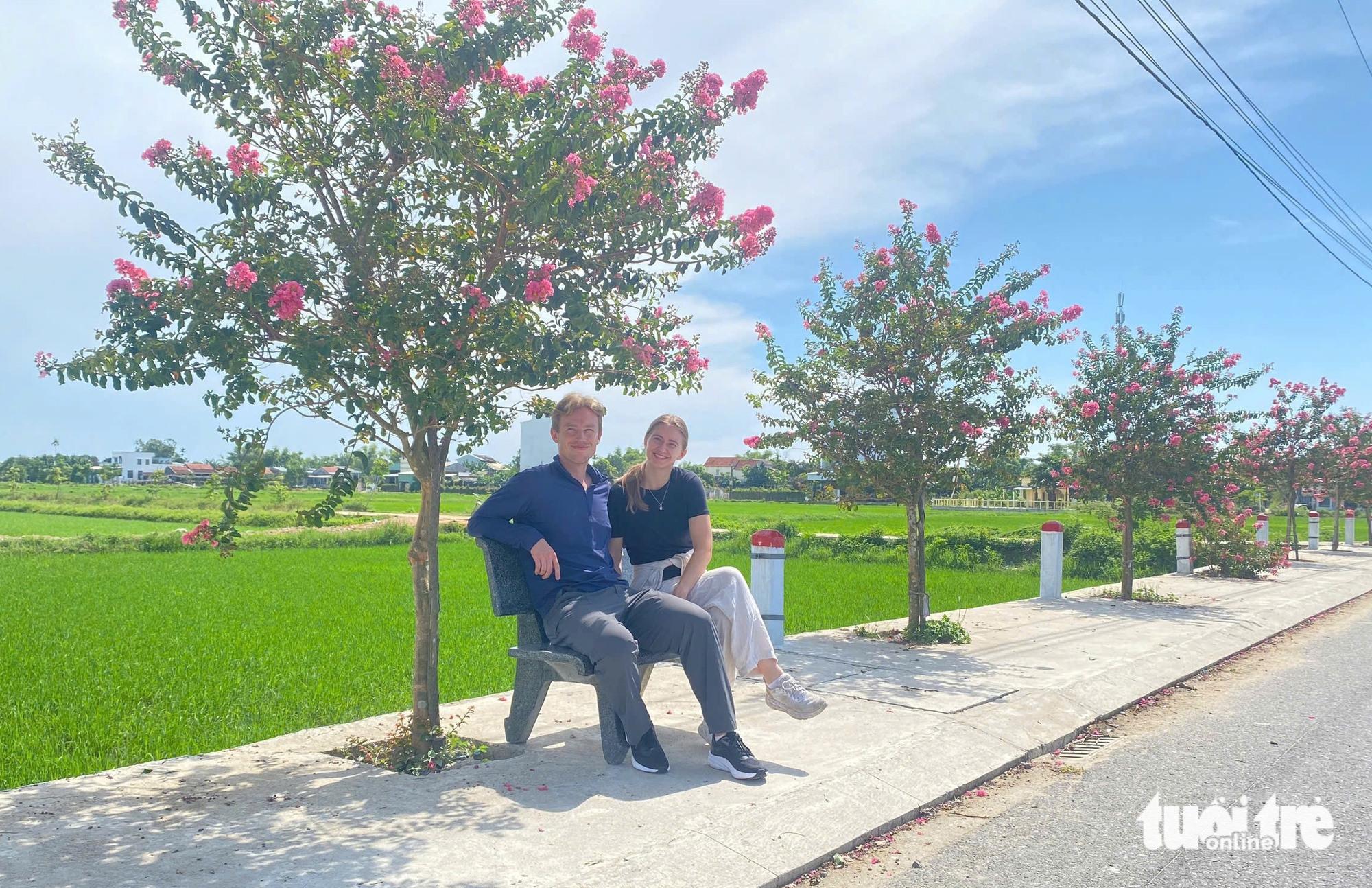 tường vi - Ảnh 7.