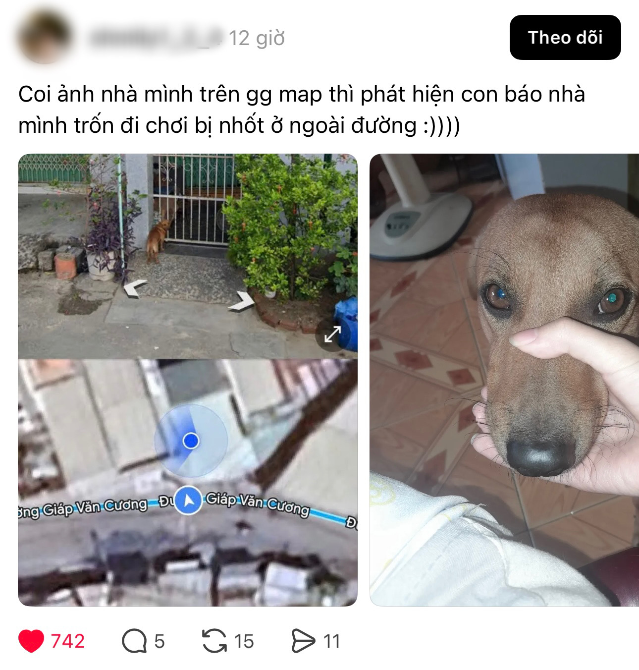 ‘Gặp lại’ người thân đã khuất qua Google Maps, cư dân mạng lặng người vì một khung hình cũ - Ảnh 7.
