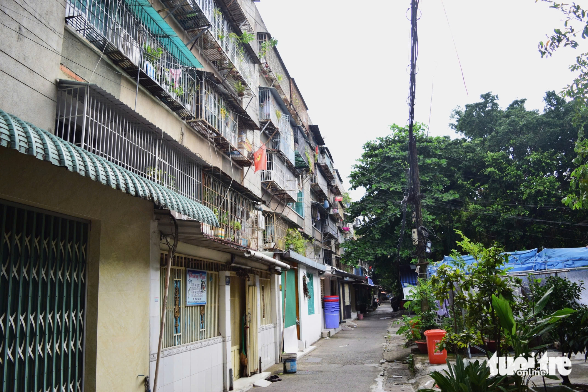 chuồng cọp - Ảnh 6.