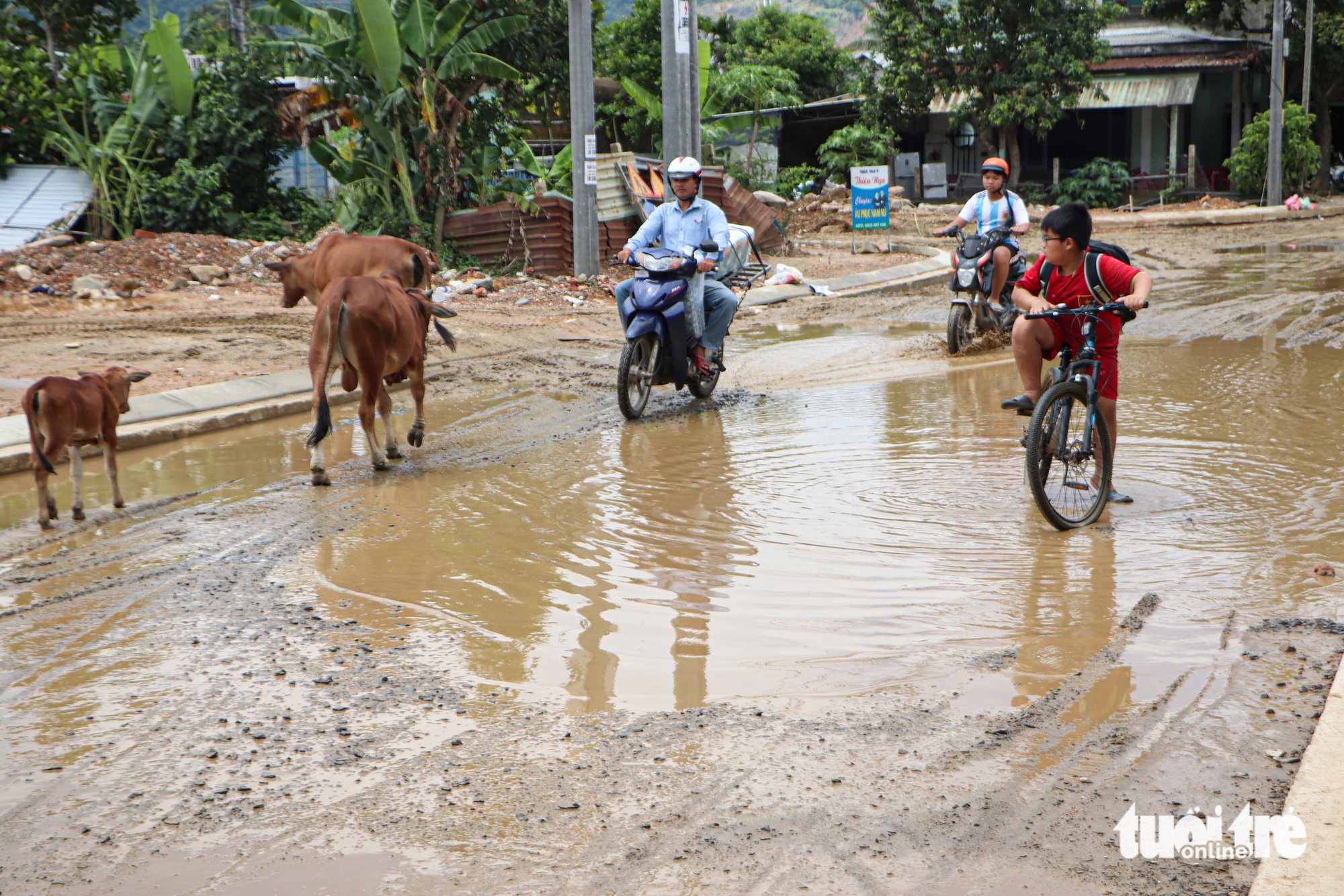 Đà Nẵng - Ảnh 1.